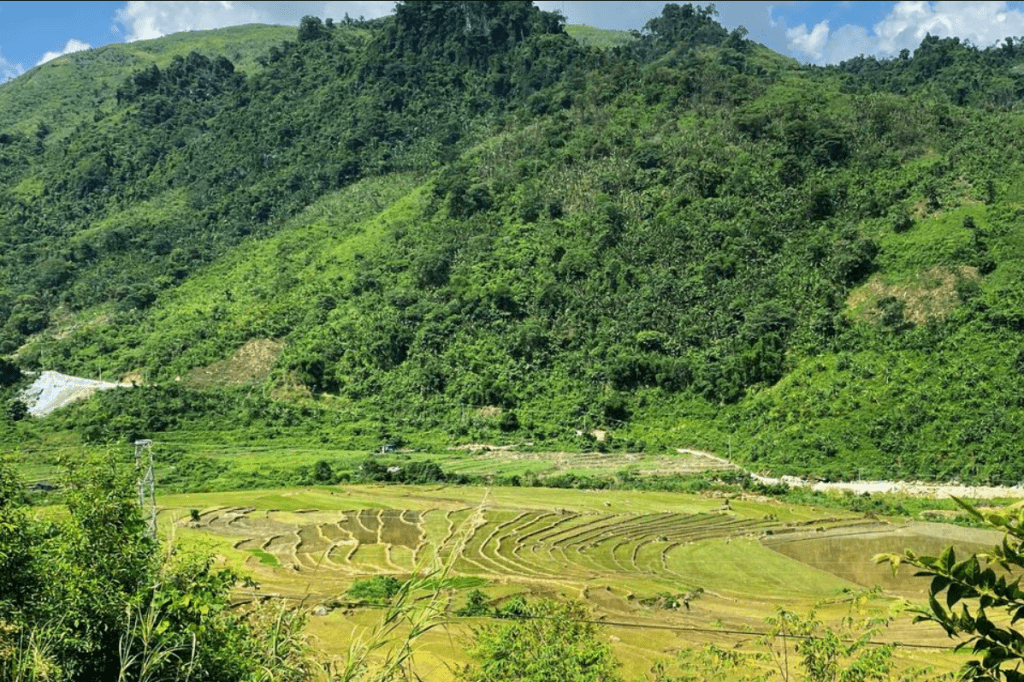 Inside Vietnam's plans to dent China's rare earths dominance